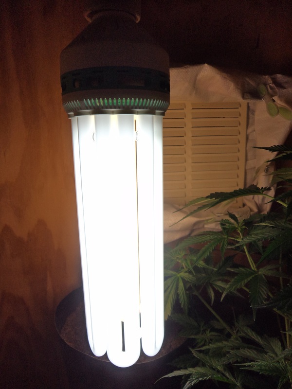 Marijuana Grow Light